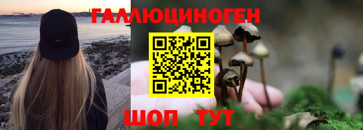 Воскресенск  Галлюциногенные грибы GOLDEN TEACHER  Вход с VPN  Галлюциногенные грибы мухоморы 
